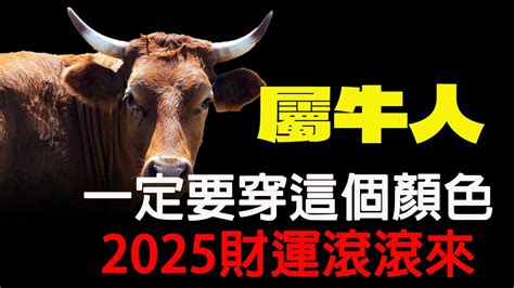 屬牛適合的顏色|2024屬牛適合什麼顏色？